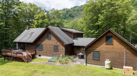384 Morton Hill Road Roscoe NY 12776