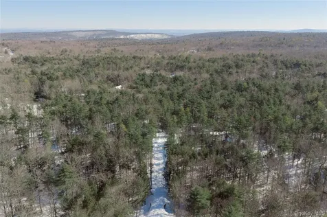 0 Dug Hill Road Hurley NY 12443