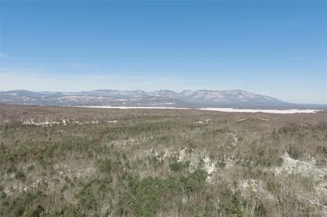 0 Dug Hill Road Hurley NY 12443