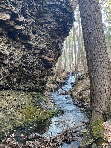 0 Dug Hill Road Hurley NY 12443