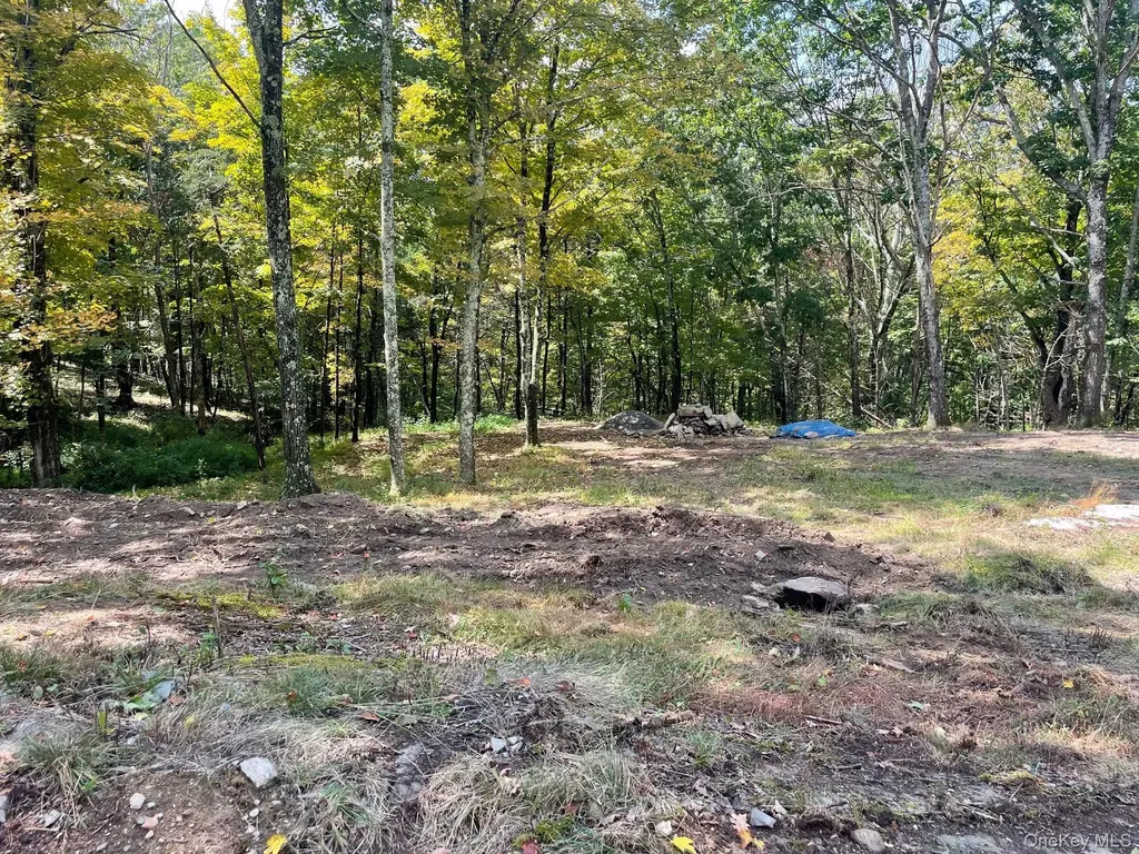 Lot #2 Church Road Red Hook NY 12571