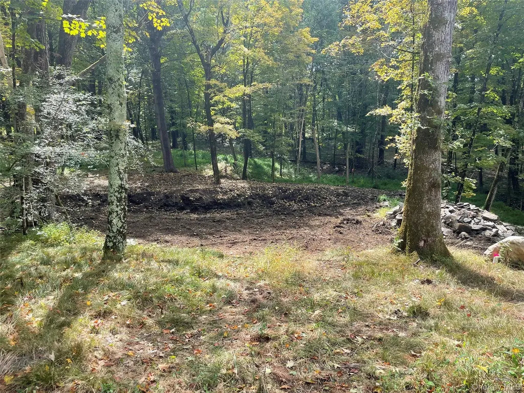 Lot #2 Church Road Red Hook NY 12571