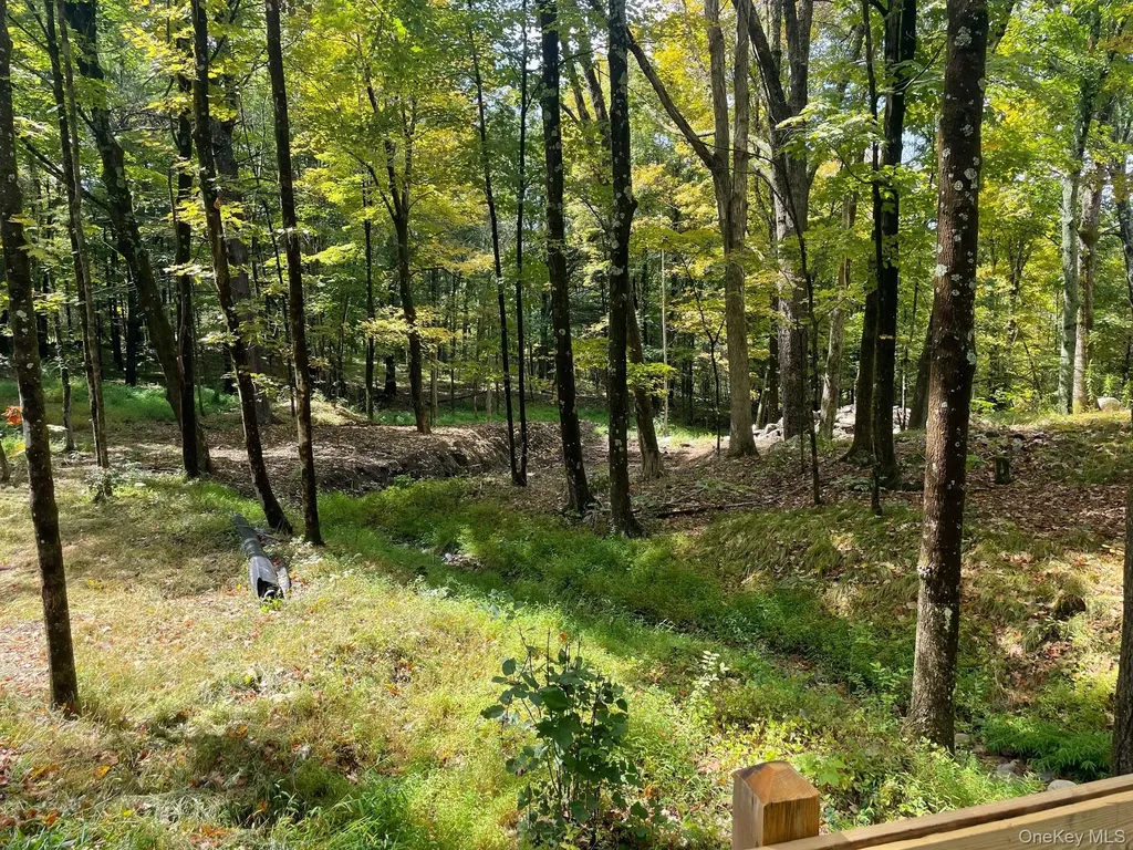 Lot #2 Church Road Red Hook NY 12571