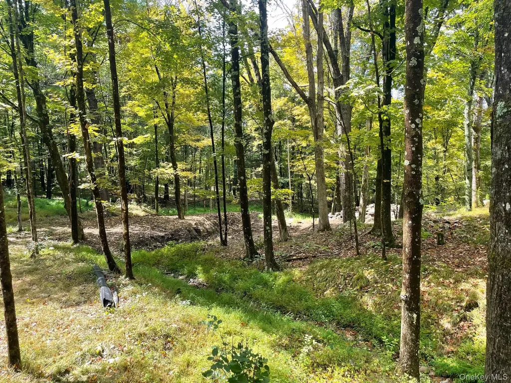 Lot #2 Church Road Red Hook NY 12571