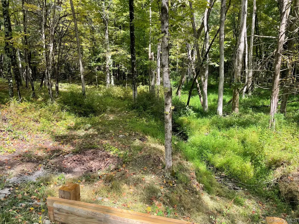 Lot #2 Church Road Red Hook NY 12571