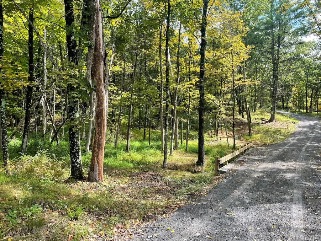 Lot #2 Church Road Red Hook NY 12571
