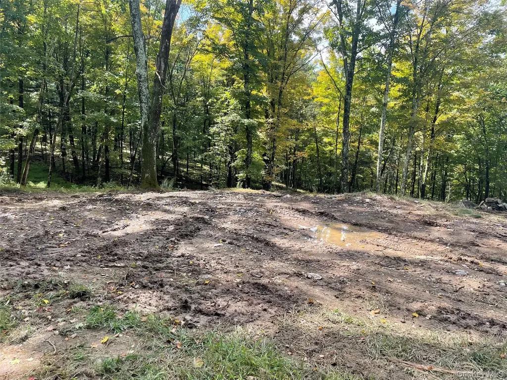 Lot #2 Church Road Red Hook NY 12571