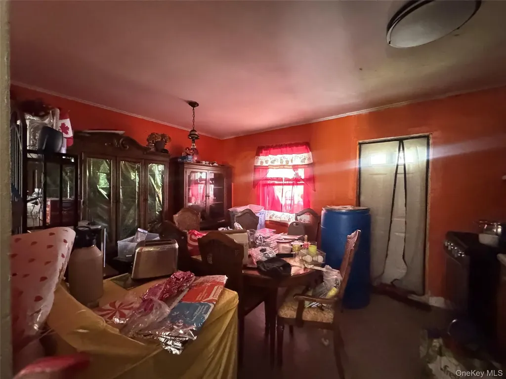 1017 E 229 Street, Bronx, Bronx NY 10466