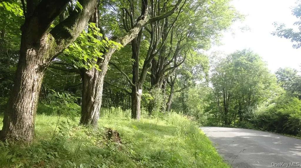 Henry Road Cragsmoor NY 12420