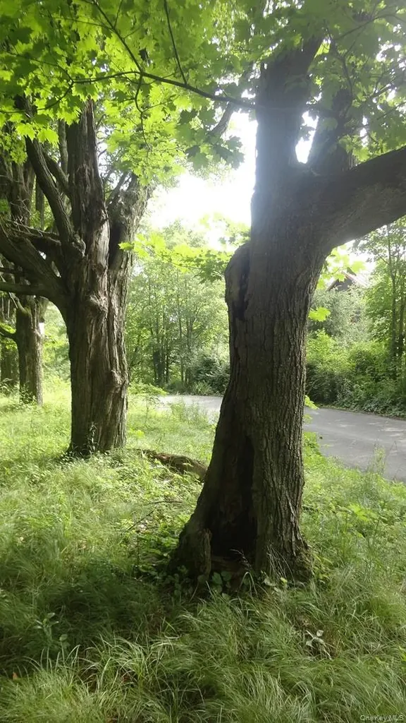 Henry Road Cragsmoor NY 12420