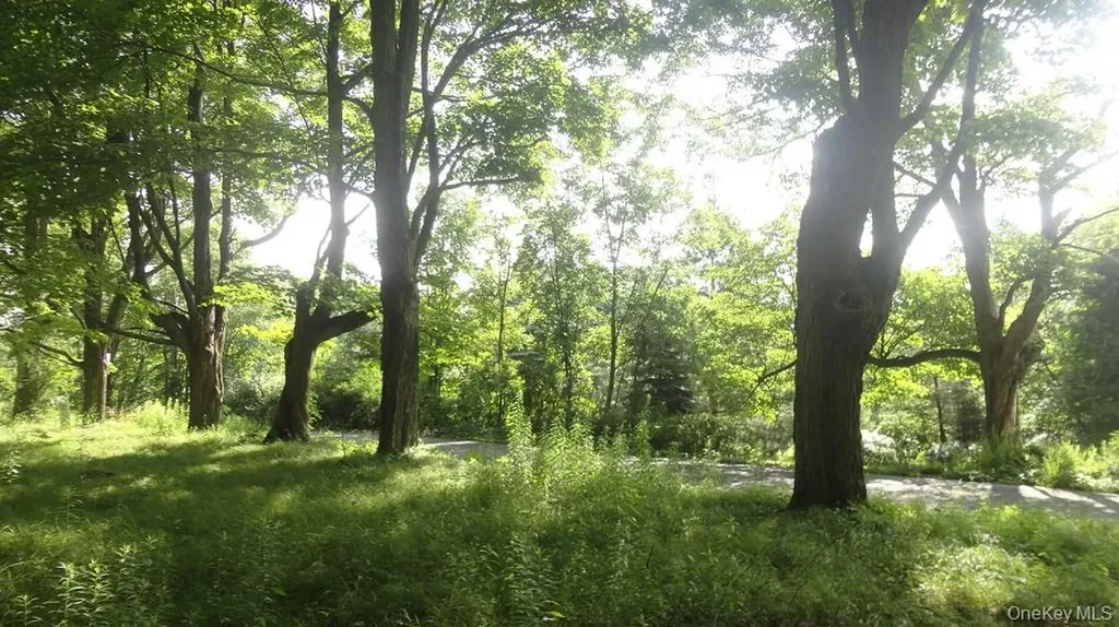 Henry Road Cragsmoor NY 12420