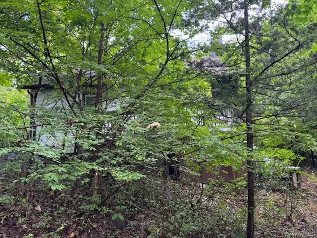 23 Rabbit Hill Road Monroe NY 10950