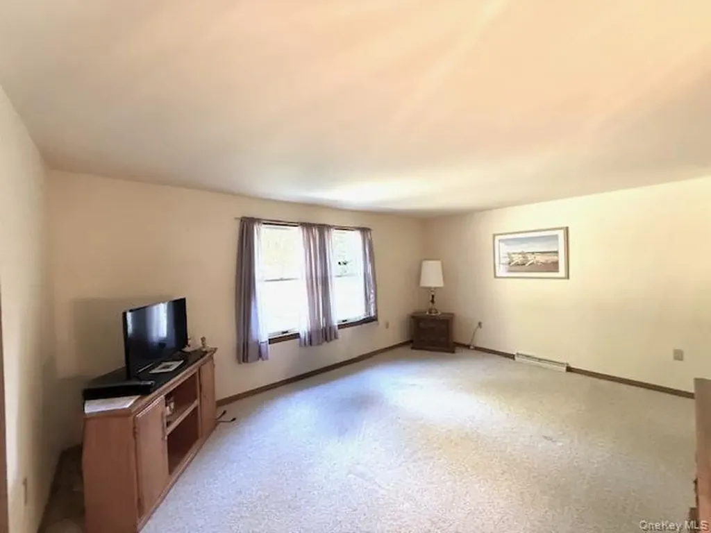 19 Andrew Paye Road Pond Eddy NY 12770