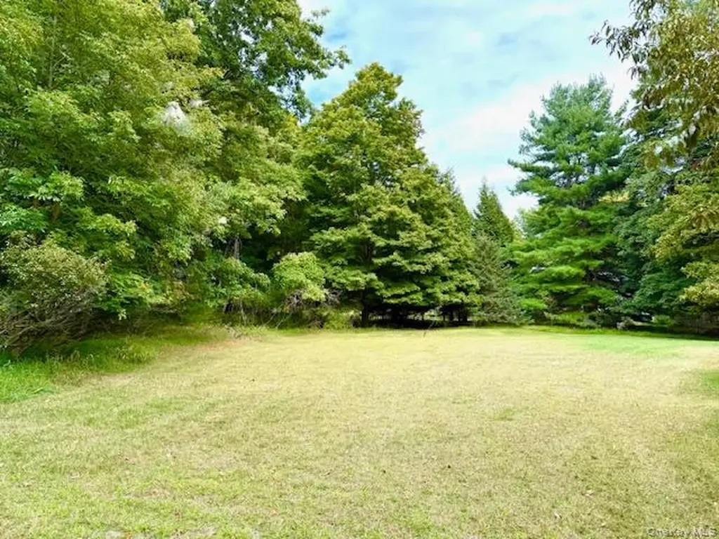 19 Andrew Paye Road Pond Eddy NY 12770