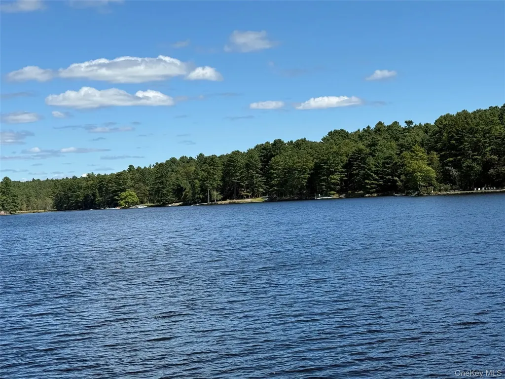 35 Oneida Trail Glen Spey NY 12737