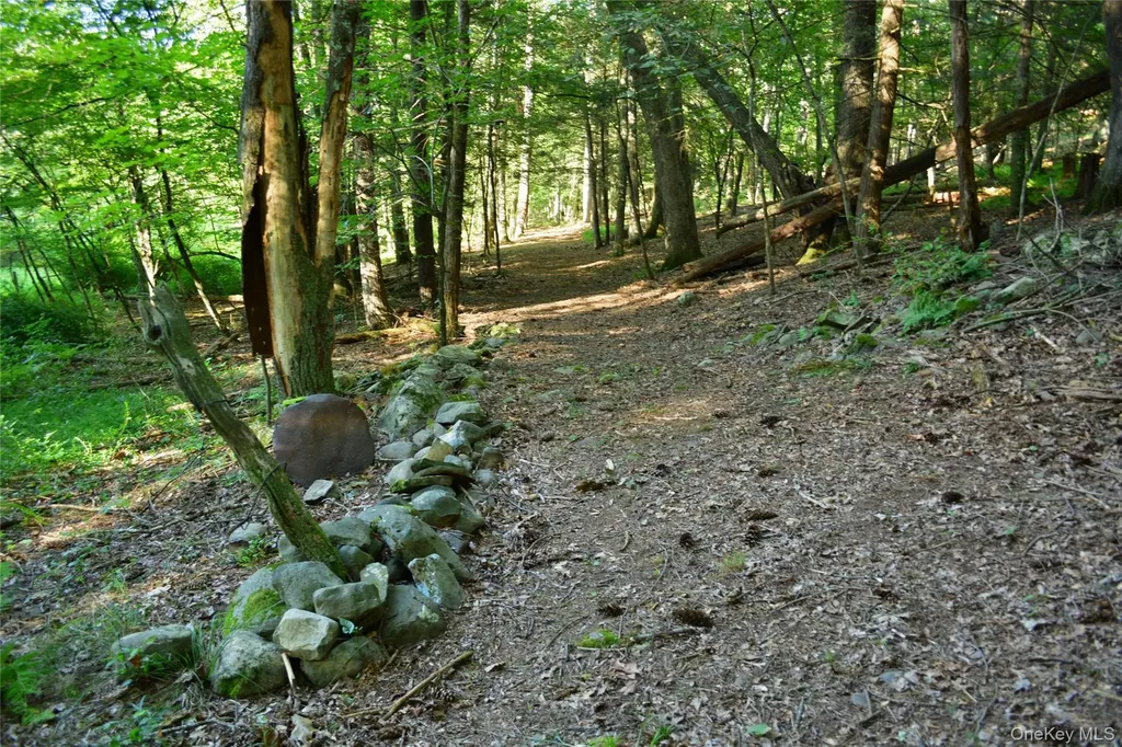 14 Beech Access Lane High Falls NY 12440