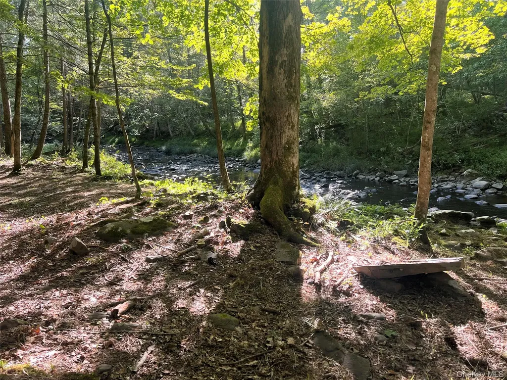 14 Beech Access Lane High Falls NY 12440