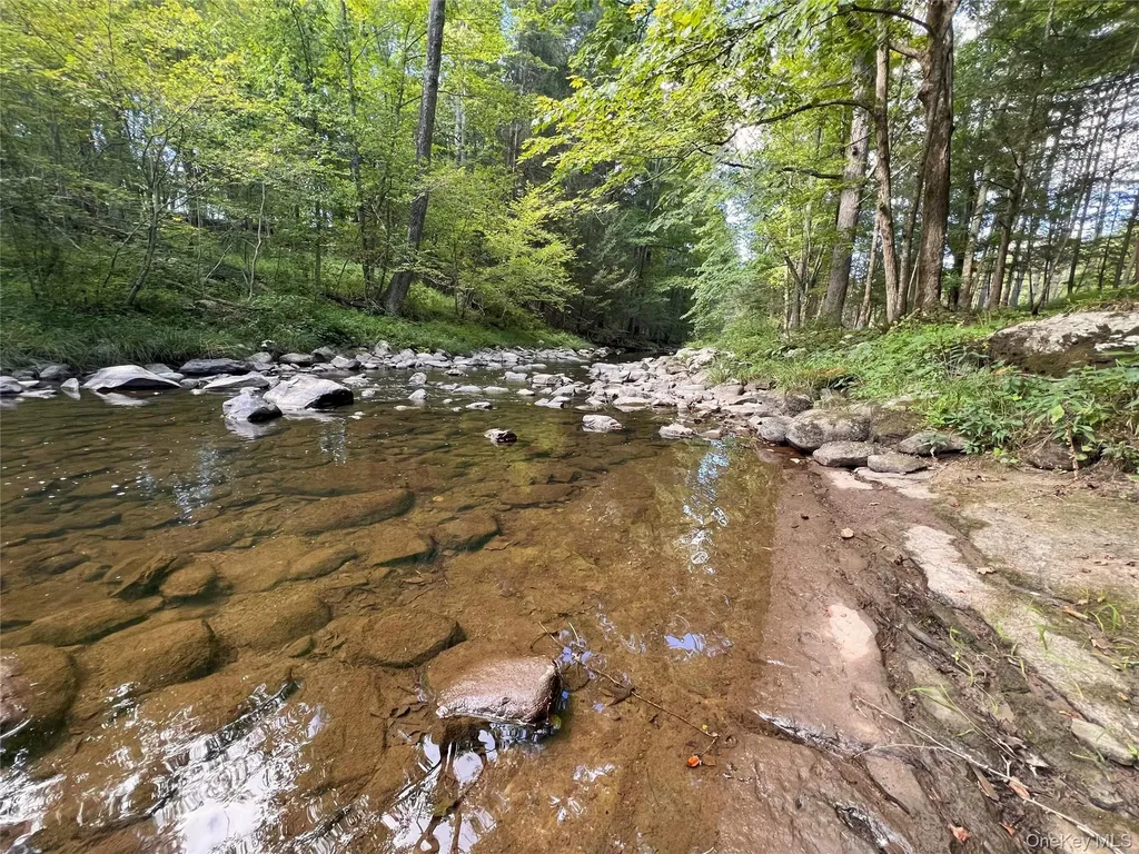 14 Beech Access Lane High Falls NY 12440