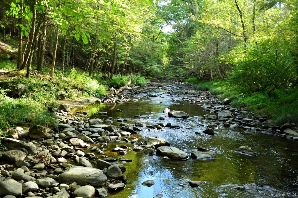 14 Beech Access Lane High Falls NY 12440