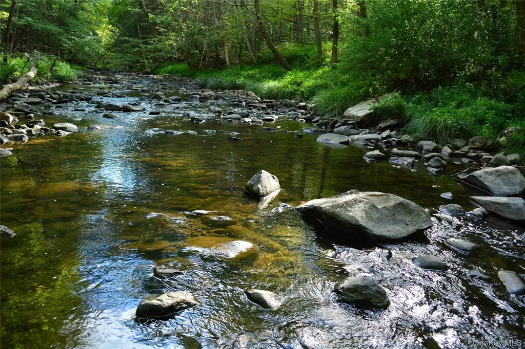 14 Beech Access Lane High Falls NY 12440