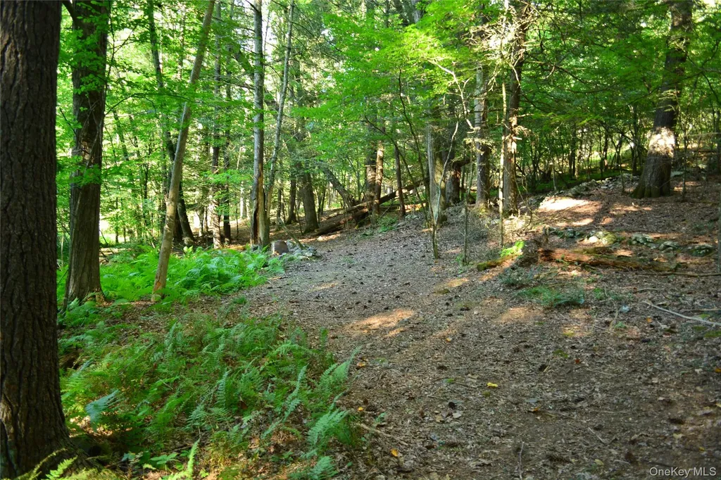 14 Beech Access Lane High Falls NY 12440
