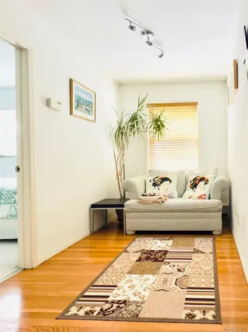 175 San Juan Avenue Albertson NY 11507