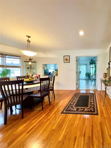 175 San Juan Avenue Albertson NY 11507