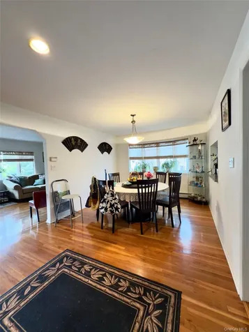 175 San Juan Avenue Albertson NY 11507