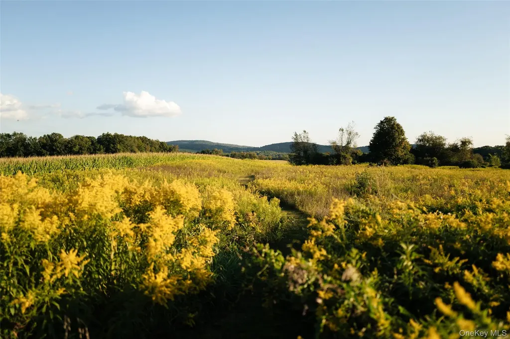 3598 Route 82 Millbrook NY 12545