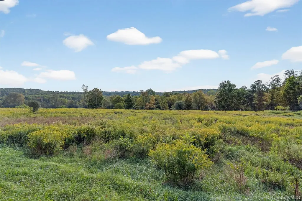 441 Scotchtown Collabar Road Middletown NY 10941