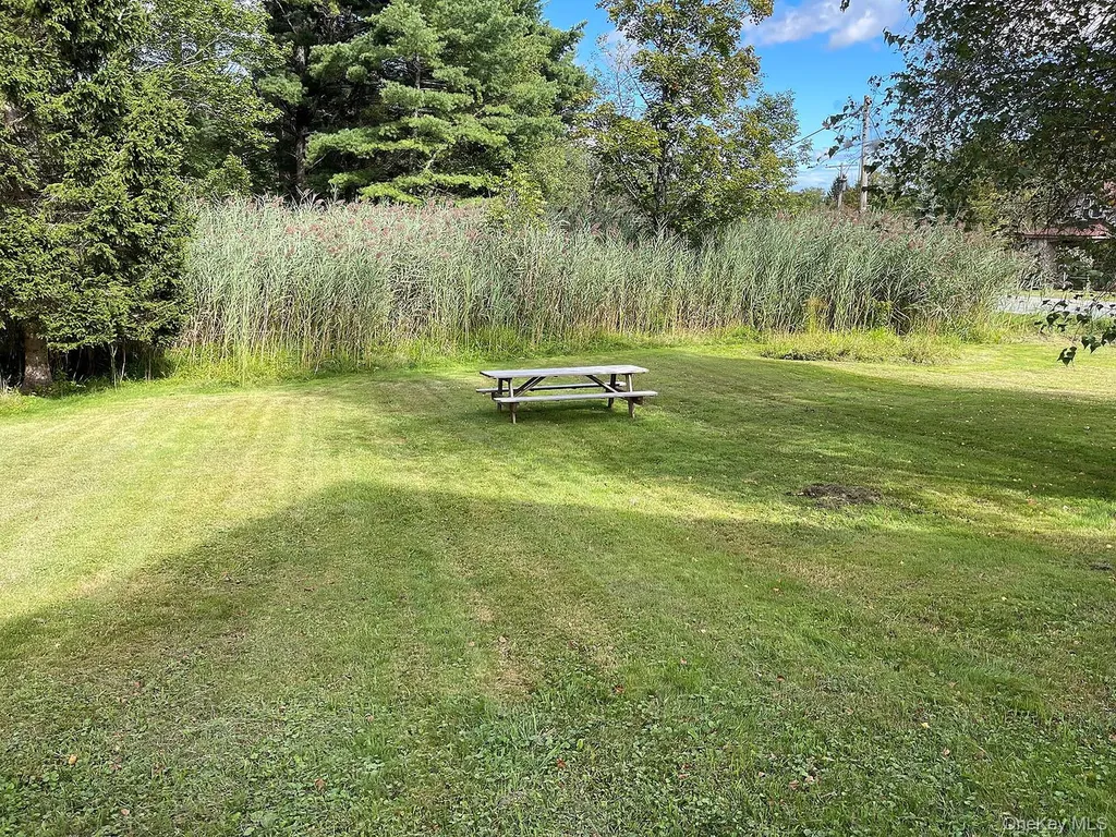 5870 State Route 52 Callicoon NY 12723