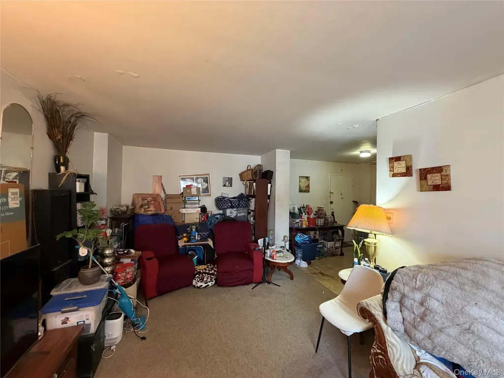 1020 Grand Concourse Bronx NY 10451