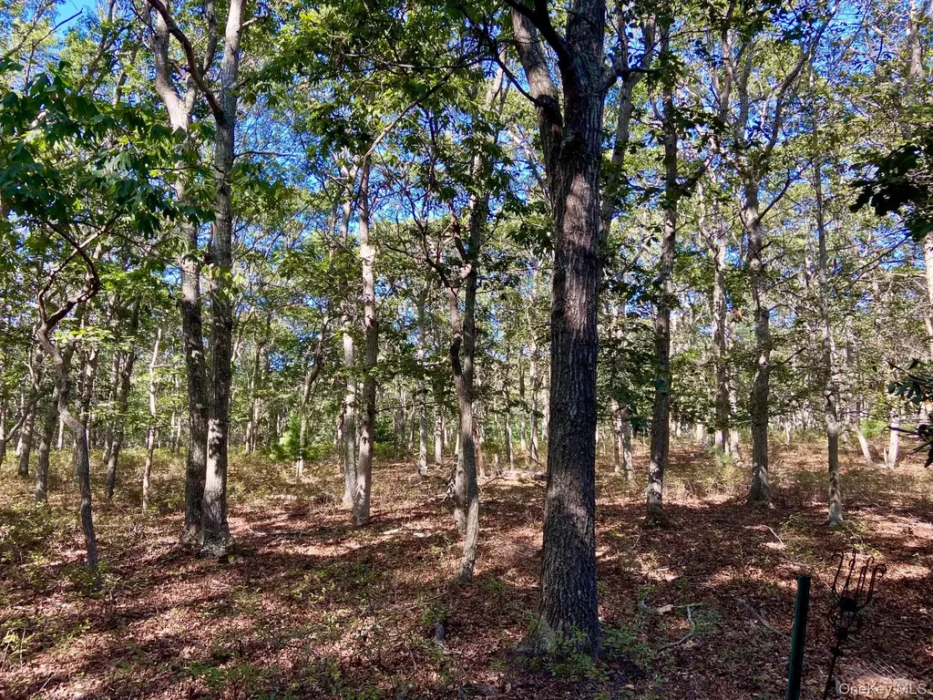 16 Karin Drive East Hampton NY 11937