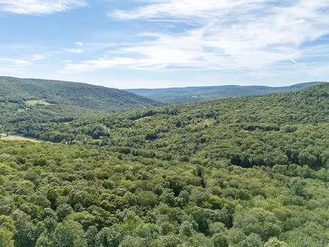 60 Alder Creek Road Livingston Manor NY 12758