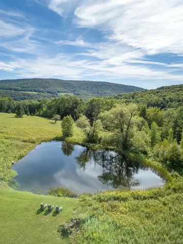 60 Alder Creek Road Livingston Manor NY 12758