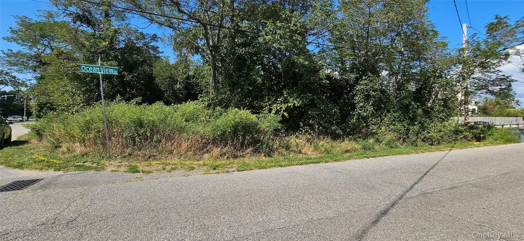 0 Oceanview Drive Mastic Beach NY 11951