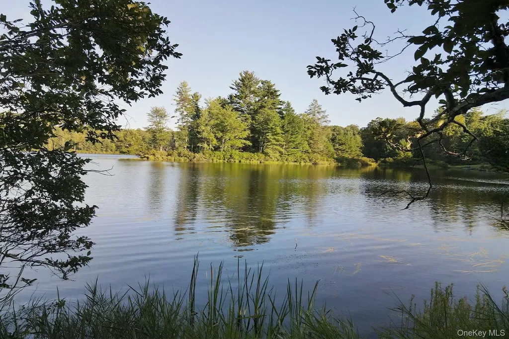 2 Lena Road Forestburgh NY