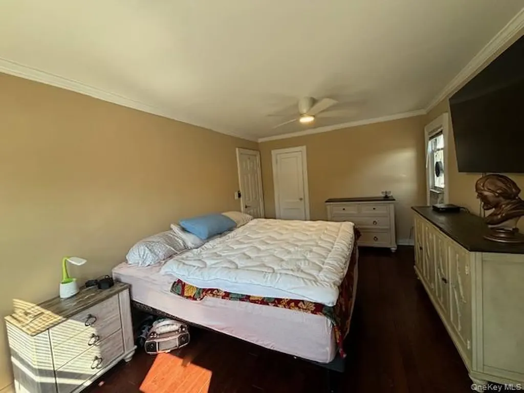 452 Macatee Place Mineola NY 11501
