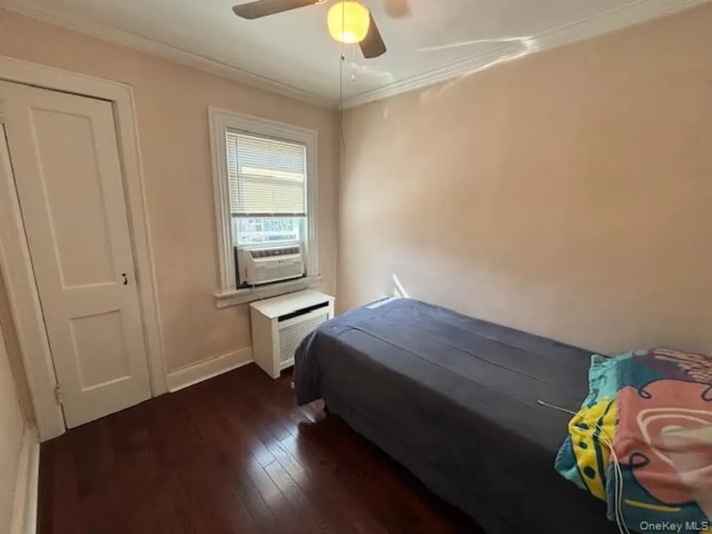 452 Macatee Place Mineola NY 11501