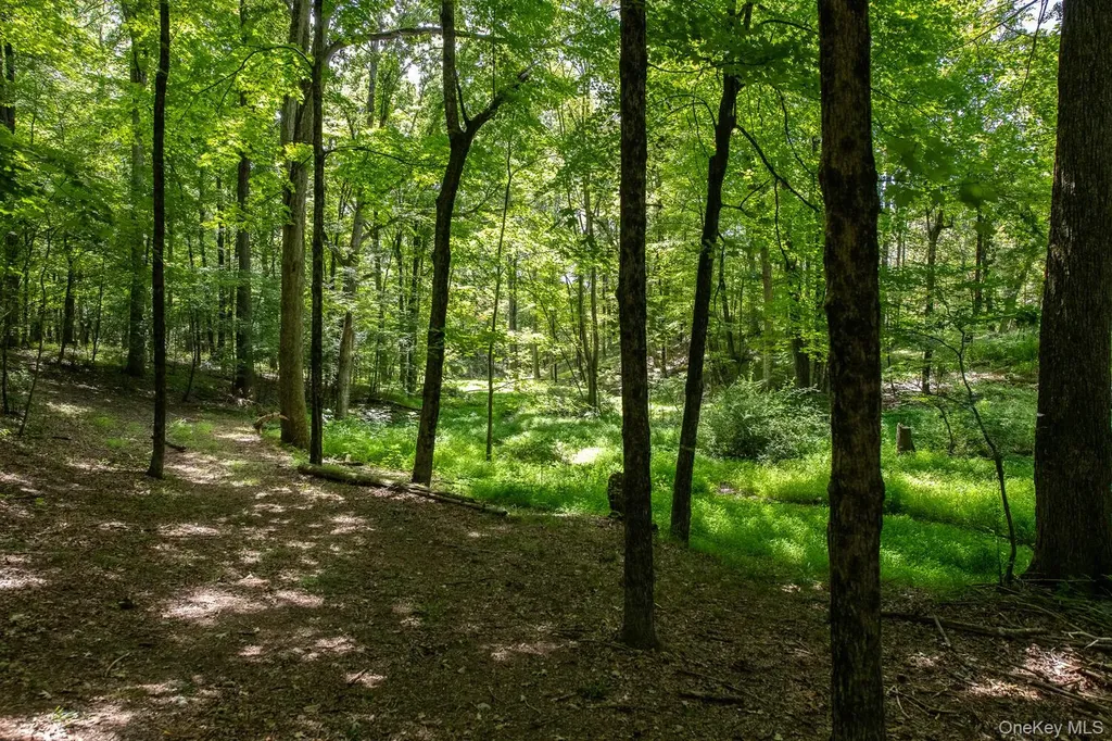 12 Skytop Ridge Rhinebeck NY 12572