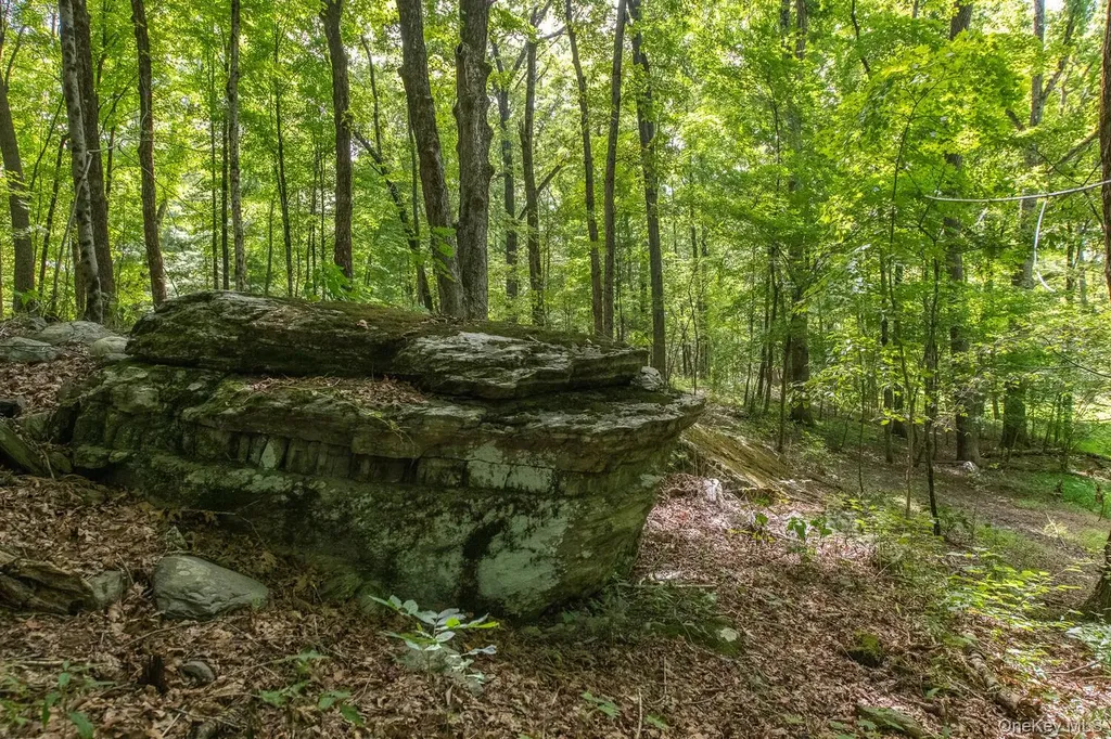 12 Skytop Ridge Rhinebeck NY 12572