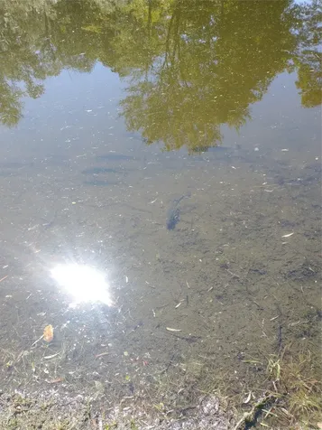 412 Ruskey Lane Hyde Park NY 12538