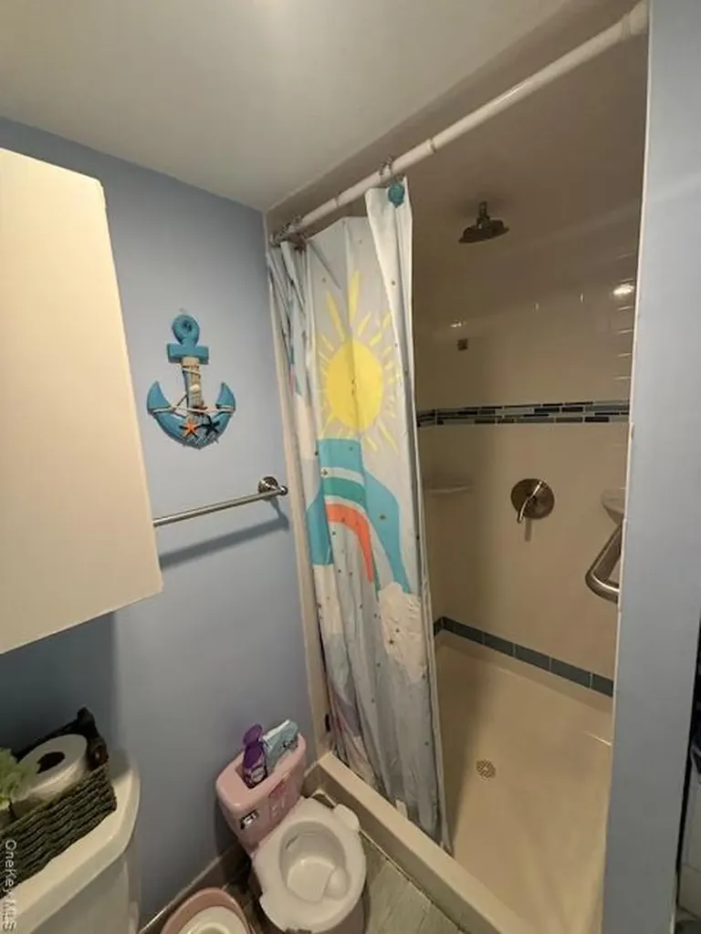 456 Macatee Place Mineola NY 11501