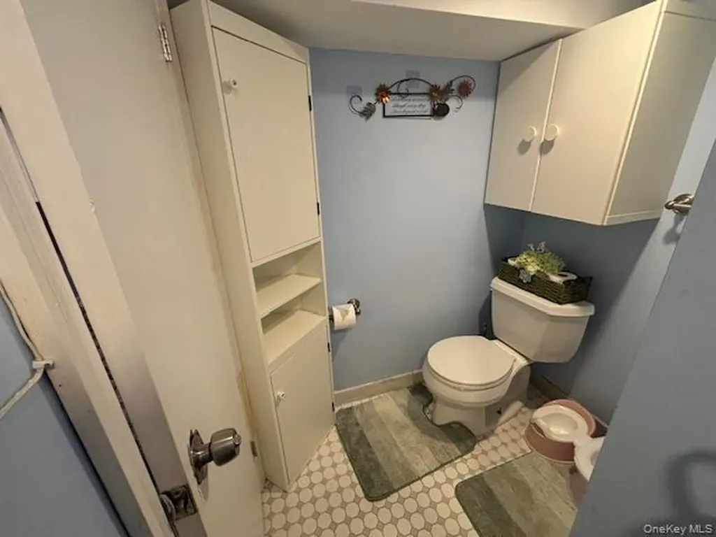 456 Macatee Place Mineola NY 11501