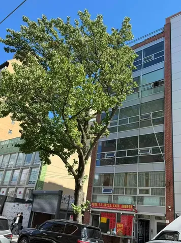 133-24 41st Road Flushing NY 11355