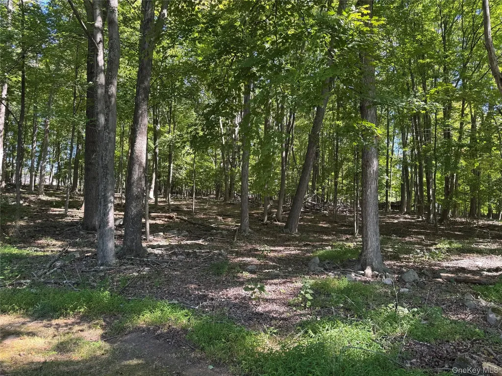 408 County Route 22 Middletown NY 10940