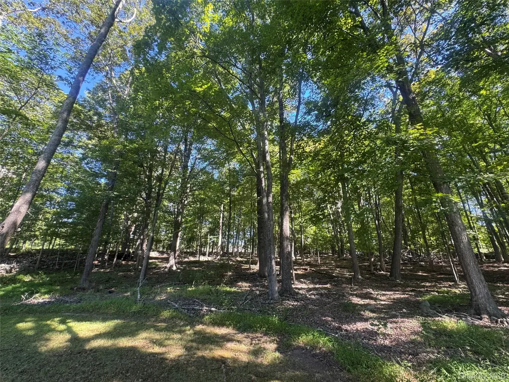 408 County Route 22 Middletown NY 10940