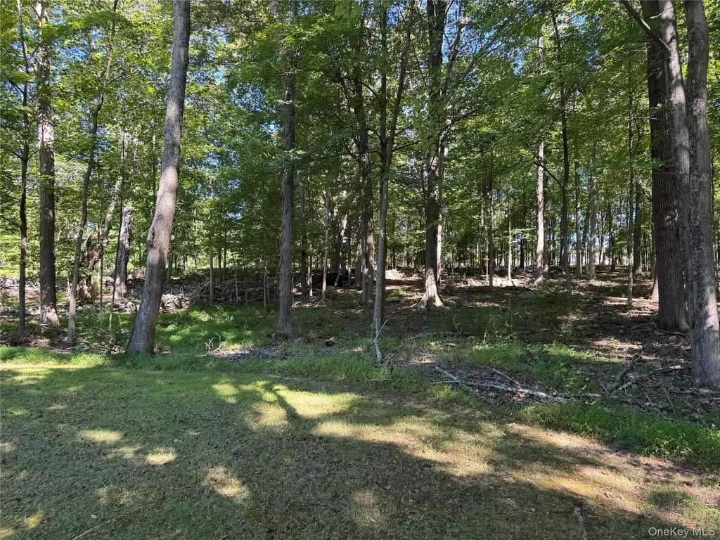 408 County Route 22 Middletown NY 10940