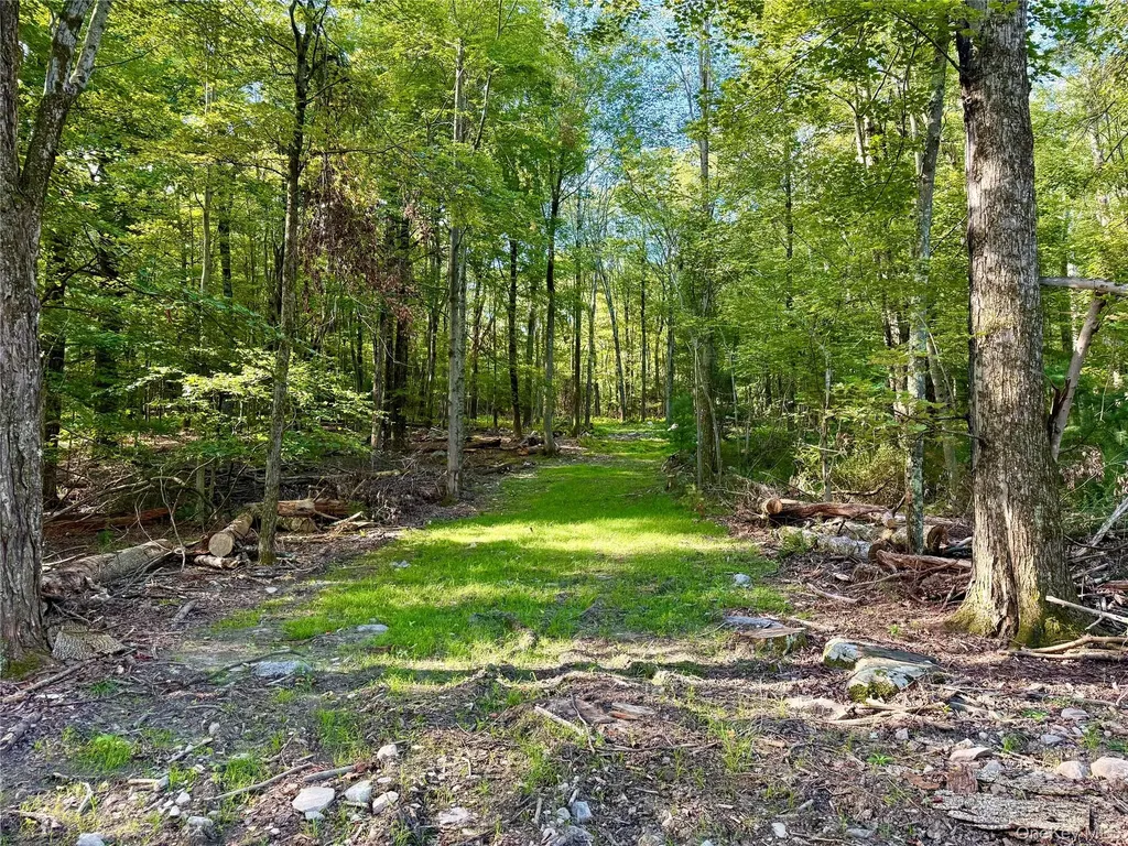 Mount Prosper Road Wurtsboro NY 12790