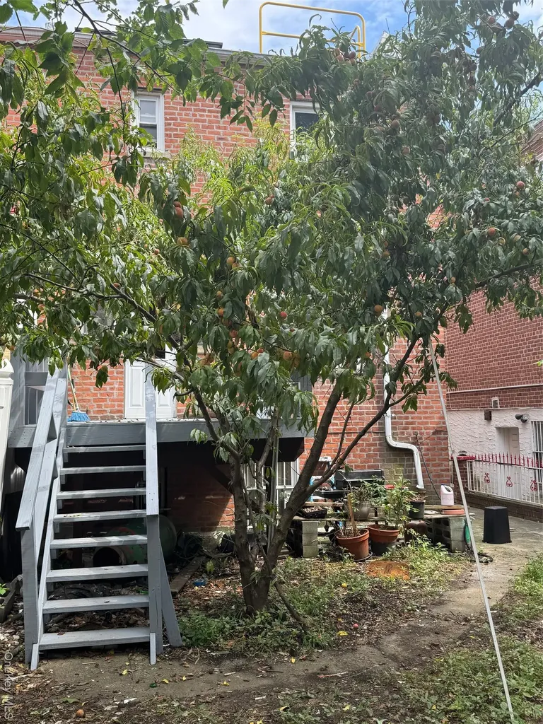 2339 Barnes Avenue Bronx NY 10467